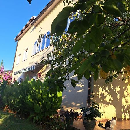Bozica House With Apartments Murine Exterior photo